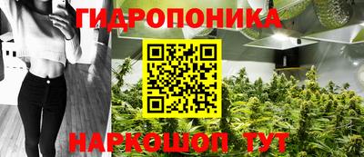 гидропоника Заволжье