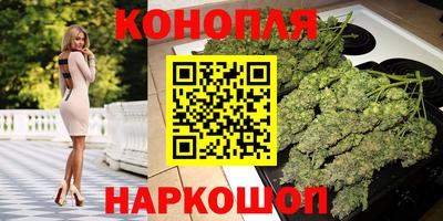 спиды Заводоуковск